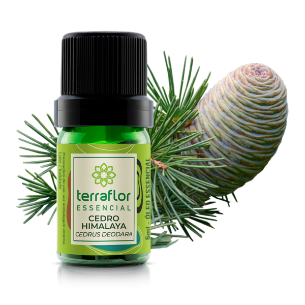 Cedro Himalaya 5ml