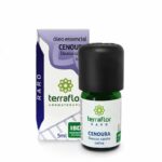 Caixa + frasco do óleo essencial de cenoura 5ml