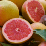 Grapefruit Rosa (Citrus paradisi)